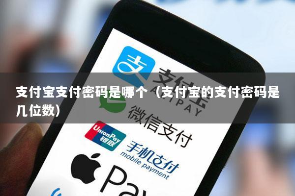 支付宝支付密码是哪个(支付宝的支付密码是几位数)