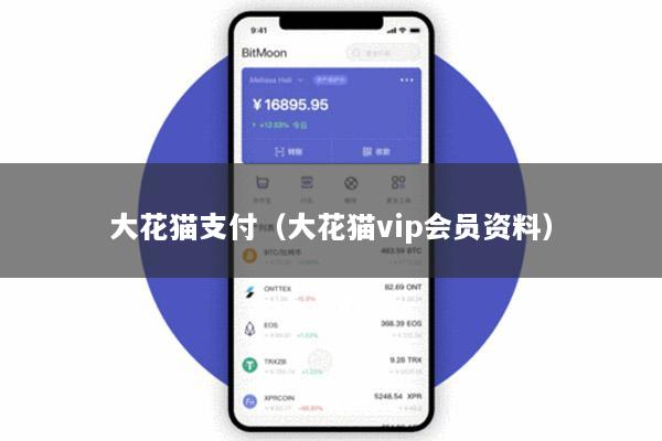 大花猫支付(大花猫vip会员资料)