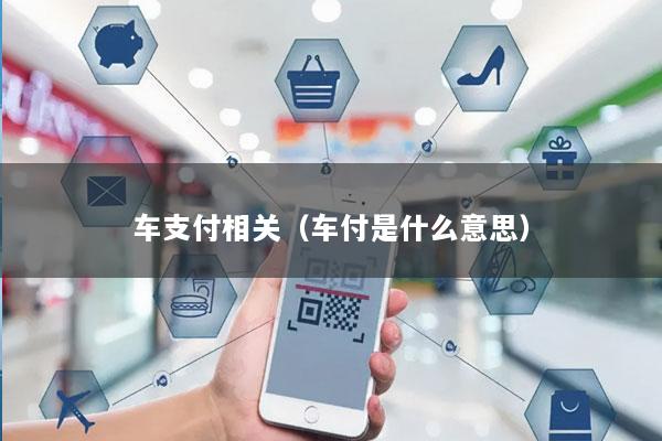 车支付相关(车付是什么意思)
