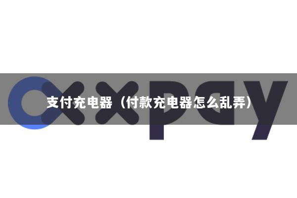 支付充电器(付款充电器怎么乱弄)