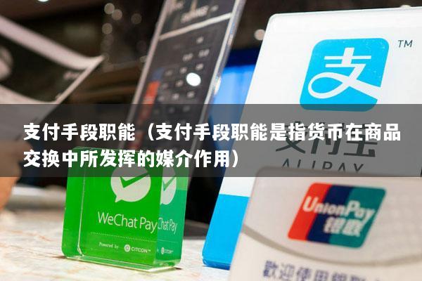 支付手段职能(支付手段职能是指货币在商品交换中所发挥的媒介作用)