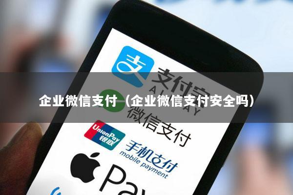 企业微信支付(企业微信支付安全吗)