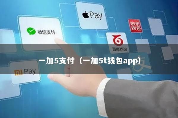 一加5支付(一加5t钱包app)