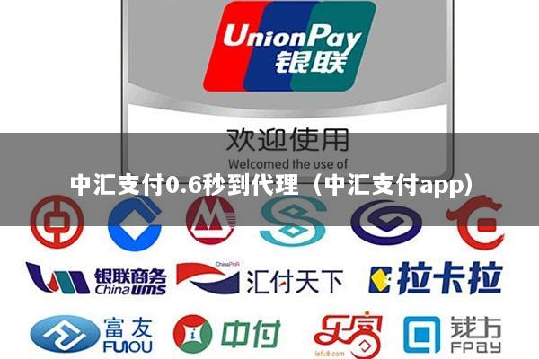 中汇支付0.6秒到代理(中汇支付app)