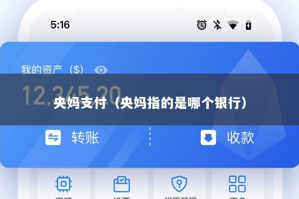 央妈支付(央妈指的是哪个银行)