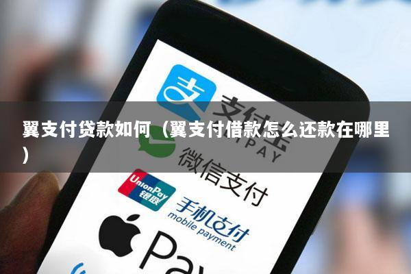翼支付贷款如何(翼支付借款怎么还款在哪里)