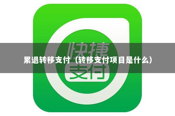 累退转移支付(转移支付项目是什么)