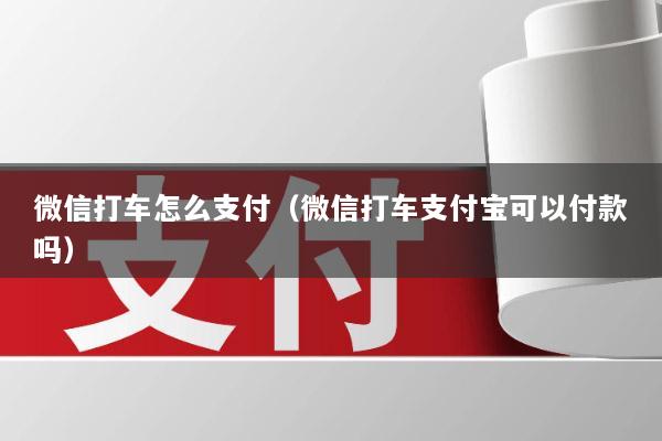 微信打车怎么支付(微信打车支付宝可以付款吗)