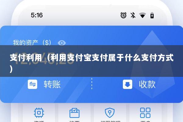 支付利用(利用支付宝支付属于什么支付方式)