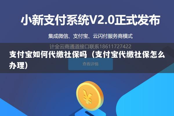 支付宝如何代缴社保吗(支付宝代缴社保怎么办理)