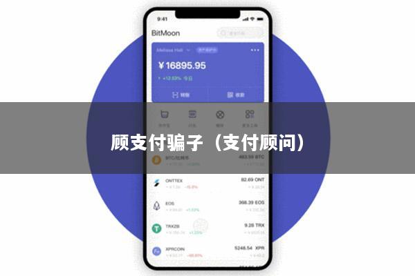 顾支付骗子(支付顾问)