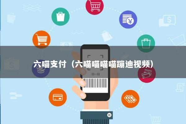 六喵支付(六喵喵喵喵蹦迪视频)