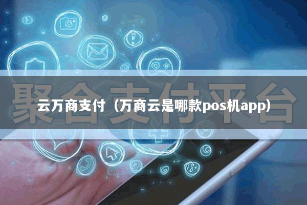 云万商支付(万商云是哪款pos机app)