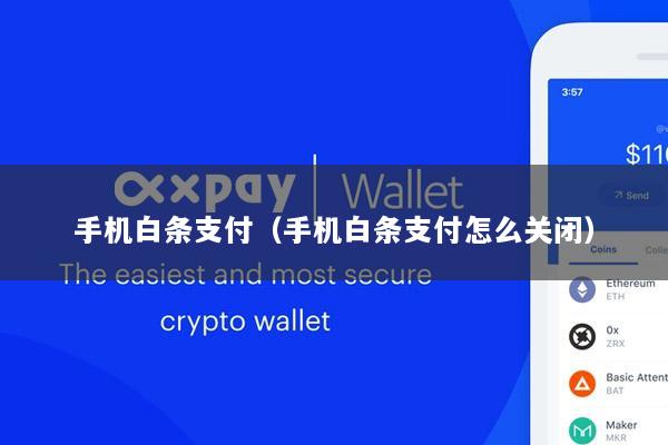 手机白条支付(手机白条支付怎么关闭)