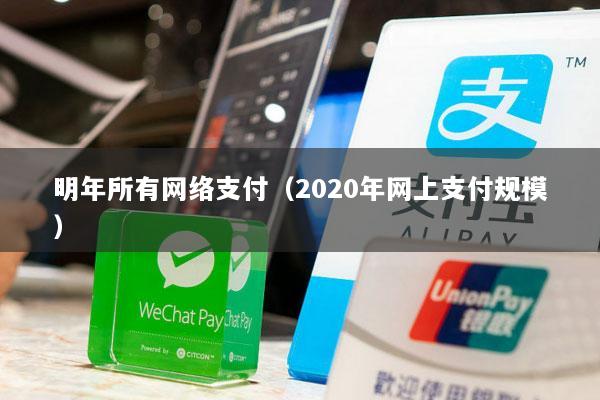明年所有网络支付(2020年网上支付规模)