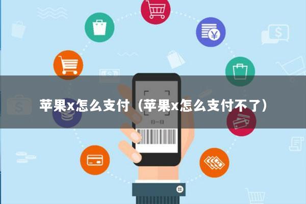 苹果x怎么支付(苹果x怎么支付不了)