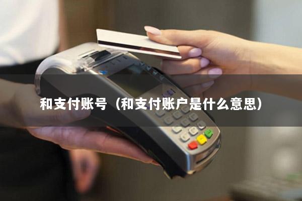 和支付账号(和支付账户是什么意思)