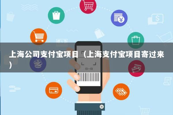 上海公司支付宝项目(上海支付宝项目寄过来)