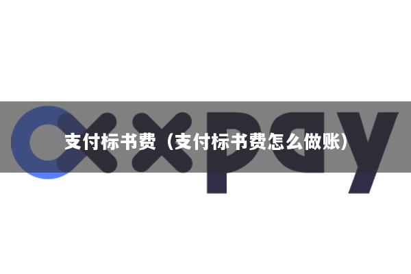 支付标书费(支付标书费怎么做账)