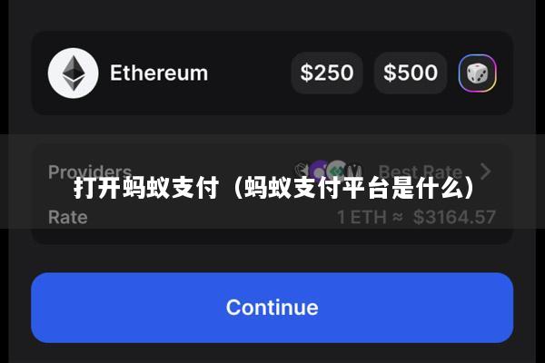 打开蚂蚁支付(蚂蚁支付平台是什么)