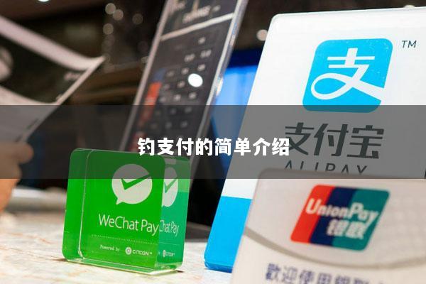 钓支付的简单介绍