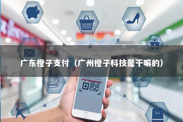 广东橙子支付(广州橙子科技是干嘛的)