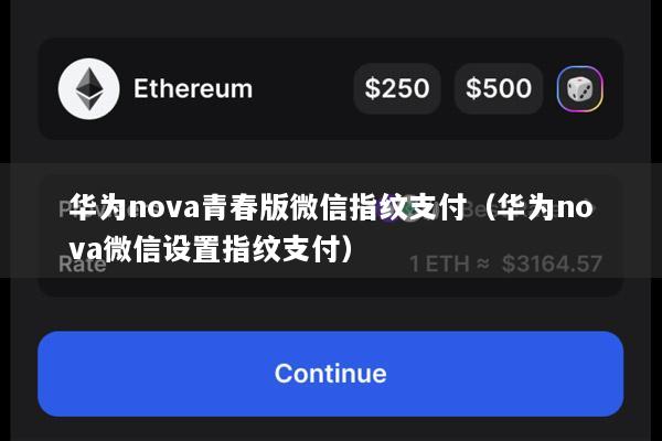 华为nova青春版微信指纹支付(华为nova微信设置指纹支付)