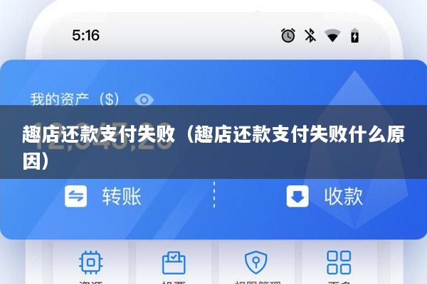 趣店还款支付失败(趣店还款支付失败什么原因)