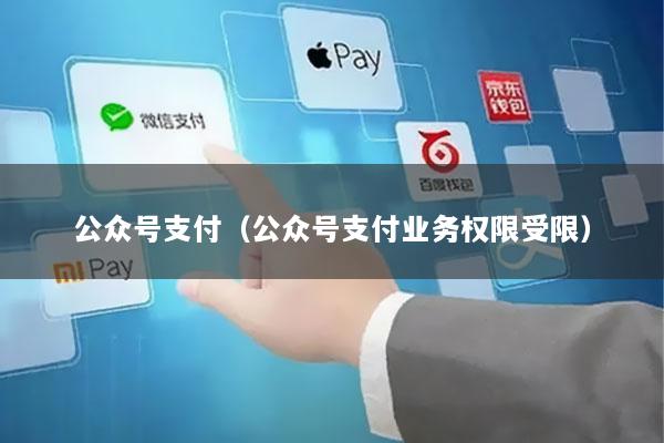 公众号支付(公众号支付业务权限受限)