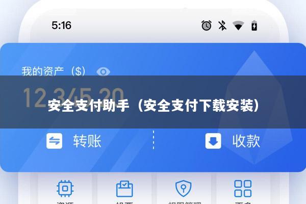 安全支付助手(安全支付下载安装)