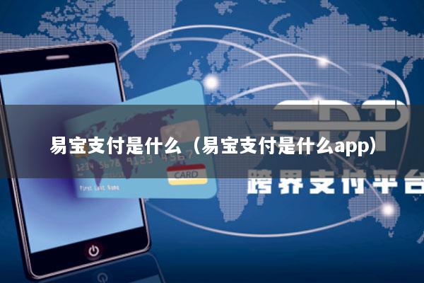 易宝支付是什么(易宝支付是什么app)