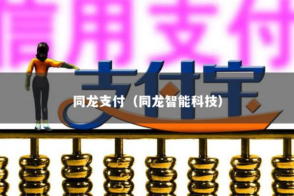 同龙支付(同龙智能科技)