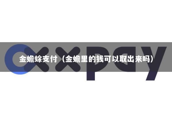 金蟾蜍支付(金蟾里的钱可以取出来吗)