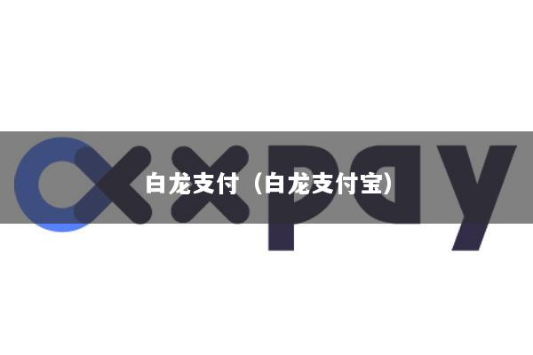 白龙支付(白龙支付宝)
