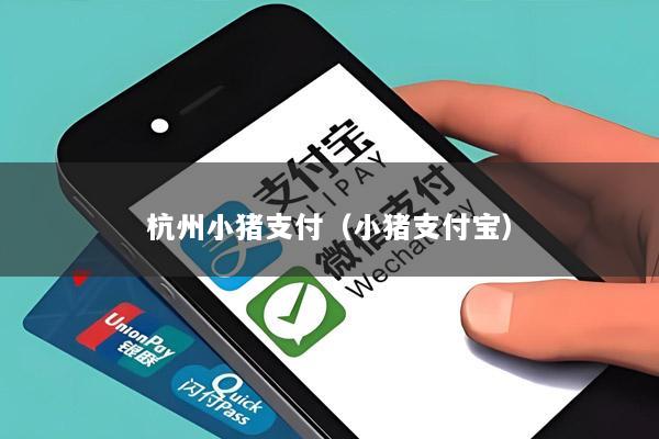 杭州小猪支付(小猪支付宝)