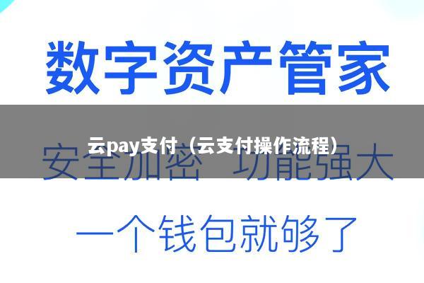云pay支付(云支付操作流程)
