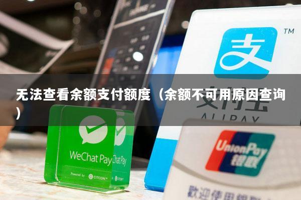 无法查看余额支付额度(余额不可用原因查询)