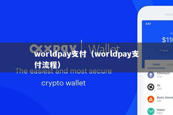 worldpay支付(worldpay支付流程)