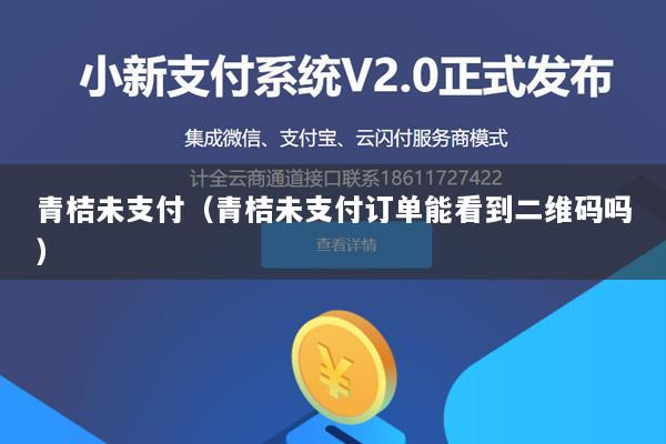 青桔未支付(青桔未支付订单能看到二维码吗)