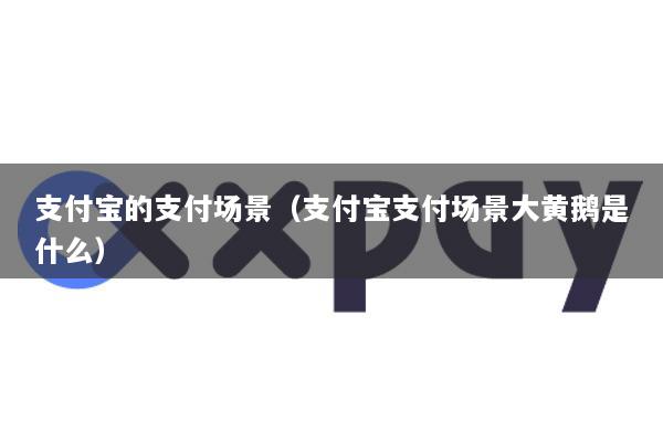 支付宝的支付场景(支付宝支付场景大黄鹅是什么)